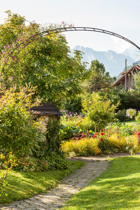 Blick in den Garten von Laueners in Frutigen: Bogen mit einer Waldrebe