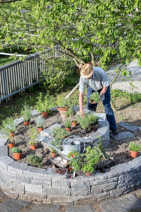 Garten-Experte Peter Lippus richtet Kräuter in Kräuterspirale an