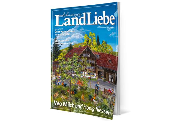 LandLiebe-Cover 4+52026.png