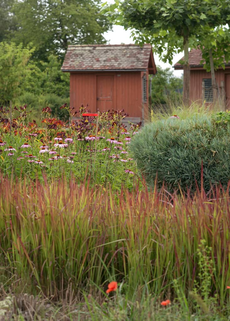 Japanisches Blutgras (Imperata cylindrica), Rote Sonnenhüte (Echinacea purpurea), Taglilien (Hemerocallis) und leere Bienenhäuschen im Kloster Wurmsbach