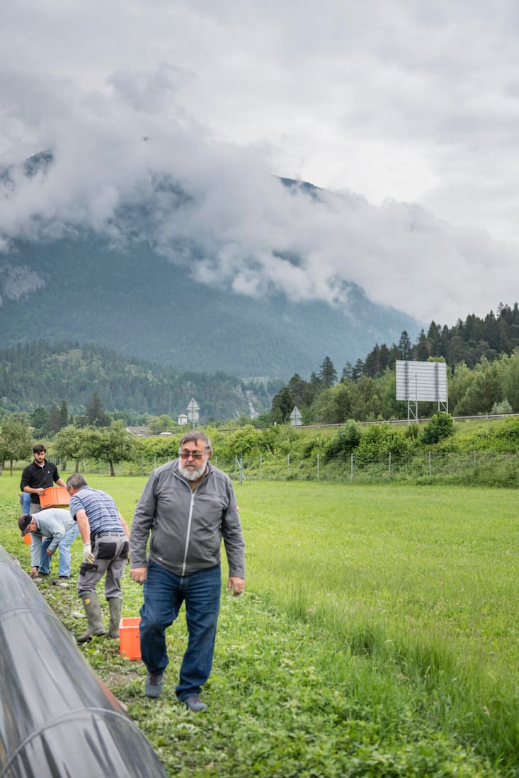 Gian-Battista Tscharner bei der Spargelernte