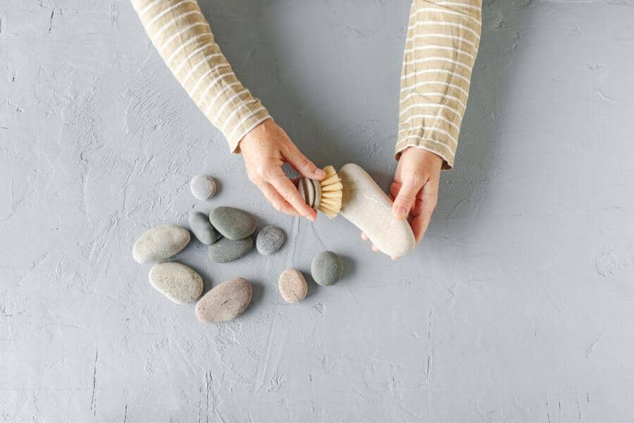 Versteinerter Kaktus