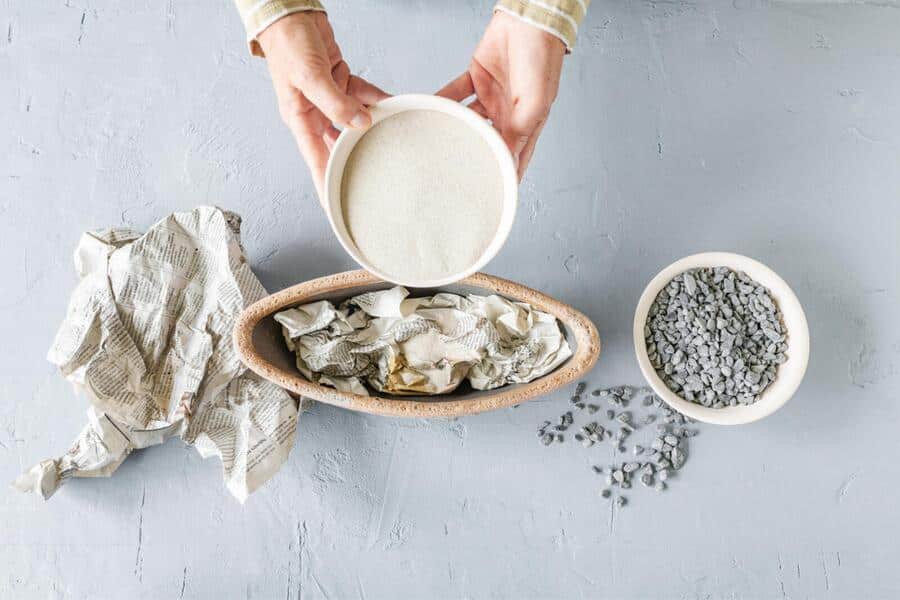 Versteinerter Kaktus