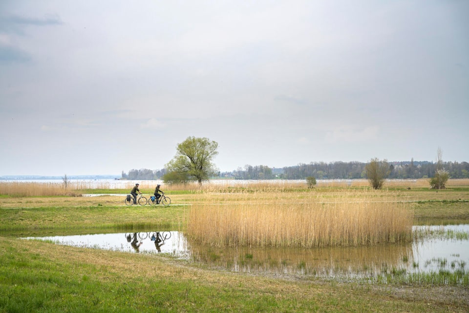 ranger Urs Wegmann und Maria Rohrer auf patrouille mit velo im natruschutzgebiet greifensee
