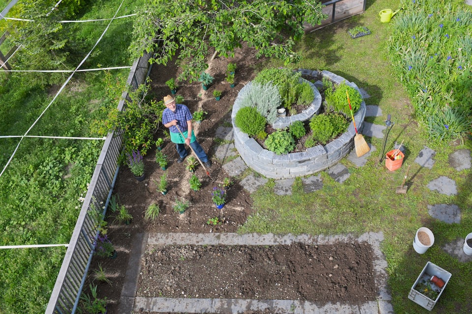 Gartenexperte Peter Lippus legt ein Staudenbeet an