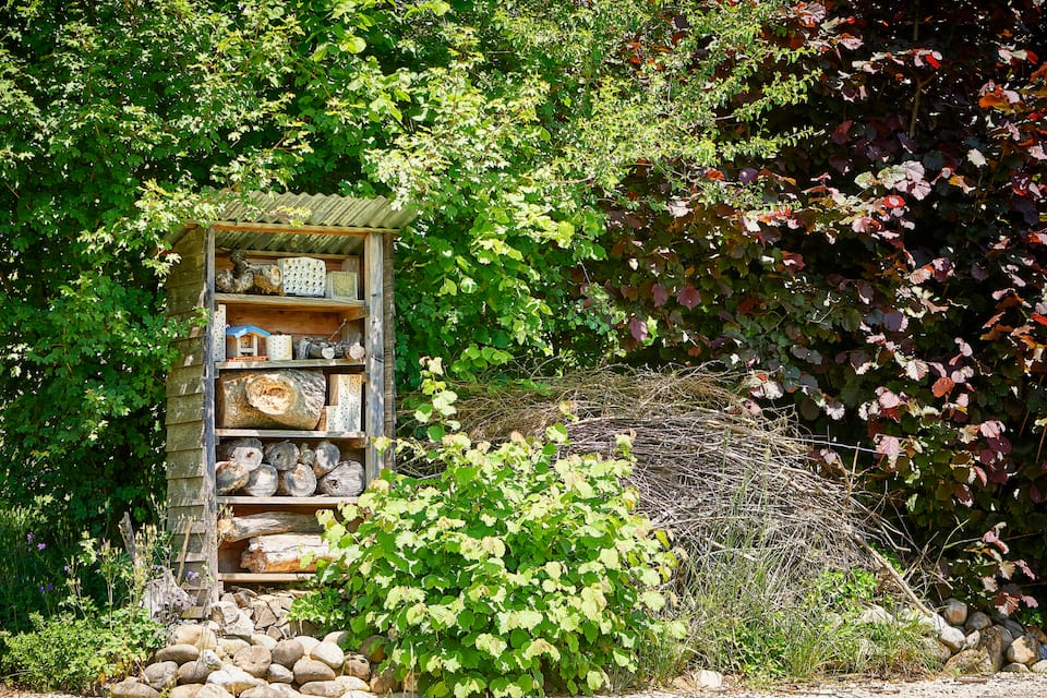 Wildbienen-Nisthilfe und Eidechsenhaufen