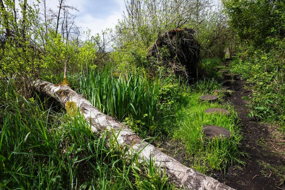 Wandern