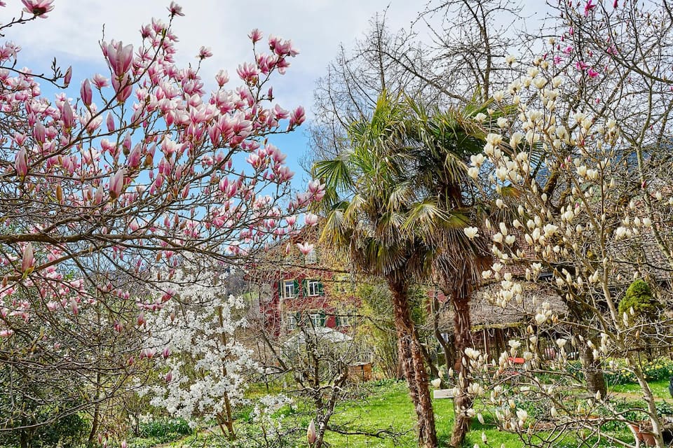 Garten2